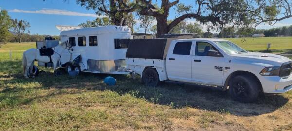 2022 Otto Tuza Angle Load Horse Float image